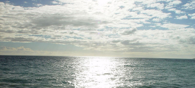 Illustration for article titled This Is How the Ocean Makes Earth Livable